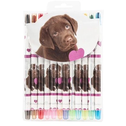 Picture of Paso RHO-3230 Studio Pets 12pcs Rotate Crayons