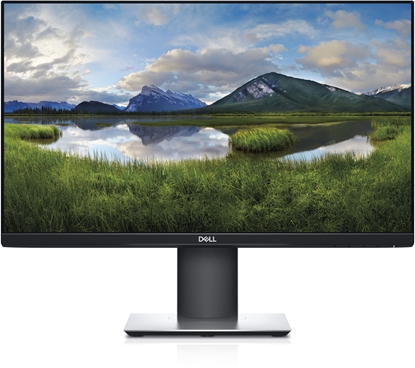Picture of 23 Monitor P2319H 58.4cm