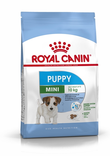 Picture of Royal Canin SHN Mini Puppy - dry puppy food - 4kg