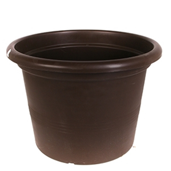 Picture of Puķu pods Campanula 50cm brūns