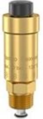 Изображение Aut. atgaisotājs vert. 1/2" Flexvent V