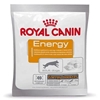 Picture of Royal Canin NUTRITIONAL SUPPLEMENT ENERGY - wet dog food - 50 g