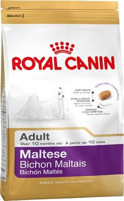 Picture of Royal Canin Maltese Adult Corn, Poultry 0.5 kg