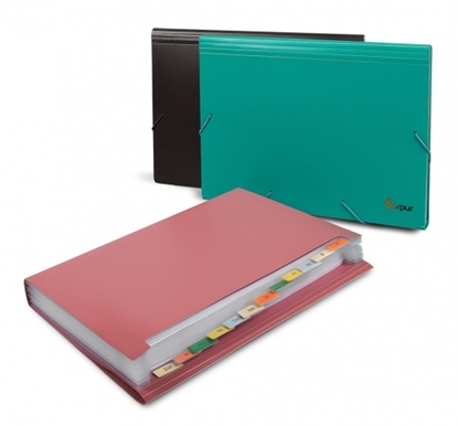 Изображение File folder with rubbers Forpus, A4, plastic, black, 12 compartments 0816-024