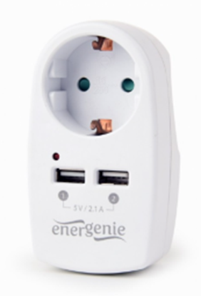 Изображение Energenie 2-port USB White