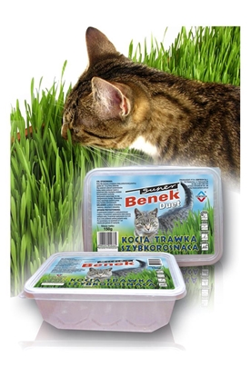 Picture of Certech 10319 pet grass seed Cat