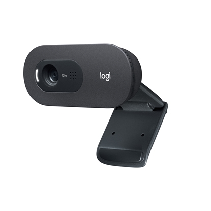 Изображение Logitech C505 HD