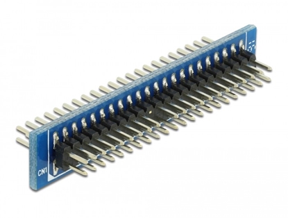 Picture of Delock Adapter 44 pin IDE male  44 pin IDE male