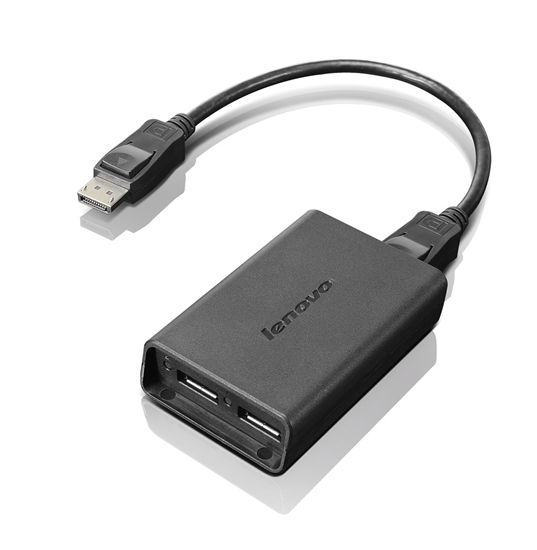 Picture of Lenovo DisplayPort to Dual-DisplayPort Monitor Cable USB A Black