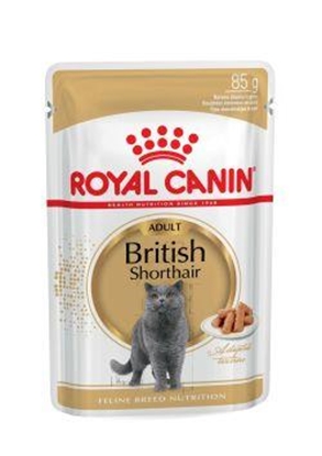 Picture of ROYAL CANIN British Shorthair packet 12x85g