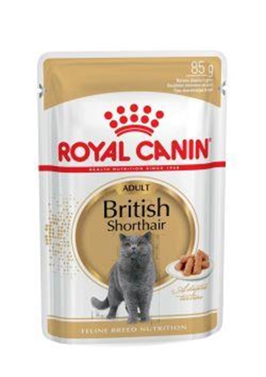 Изображение ROYAL CANIN British Shorthair packet 12x85g