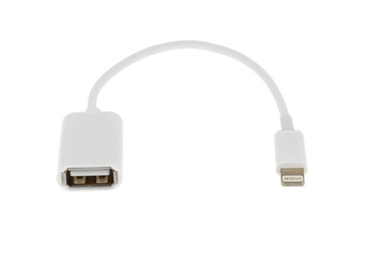 Picture of RoGer OTG Adapter Lightning to USB Connection