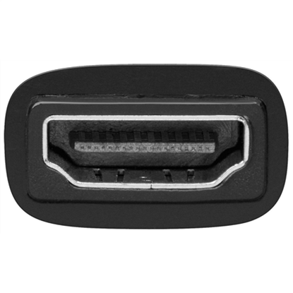Изображение Goobay HDMI female (Type A) | DVI-D male Dual-Link (24+1 pin) | HDMI/DVI-D adaptor, nickel plated