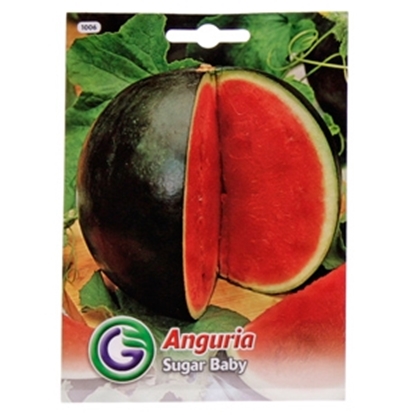 Attēls no Sēklas arbūzs 'Sugar Baby' 3g GS