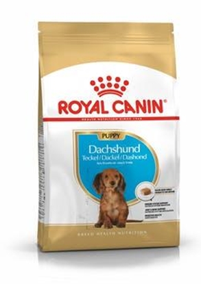 Attēls no Food Royal Canin SHN Breed Dachshund Jun 1.5 kg