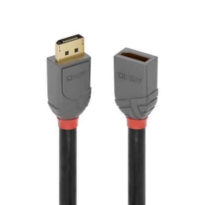 Picture of Lindy 3m DisplayPort Extension Cable, Anthra Line