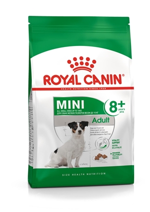 Picture of ROYAL CANIN Mini Adult +8 - dry dog food - 800 g
