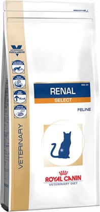 Picture of ROYAL CANIN Cat Renal Select - dry cat food - 4 kg