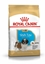Picture of ROYAL CANIN Shih Tzu Puppy 0.5kg