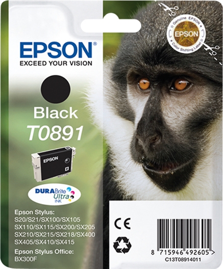 Picture of Epson DURABrite Ultra Ink T 089 ink cartridge black       T 0891
