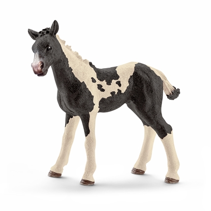 Picture of schleich Farm World Pinto Foal
