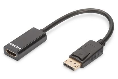 Изображение Digitus DisplayPort Adapter / Converter
