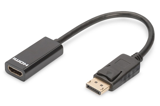 Изображение Digitus DisplayPort Adapter / Converter