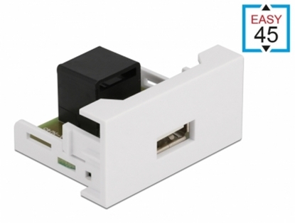 Изображение Delock Easy 45 Module USB 2.0 Type-A female to RJ45 female port 22.5 x 45 mm