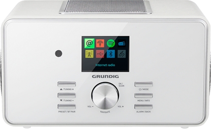 Picture of Grundig DTR 6000 X white