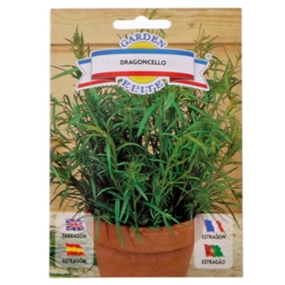 Picture of Sēklas garš.estragons