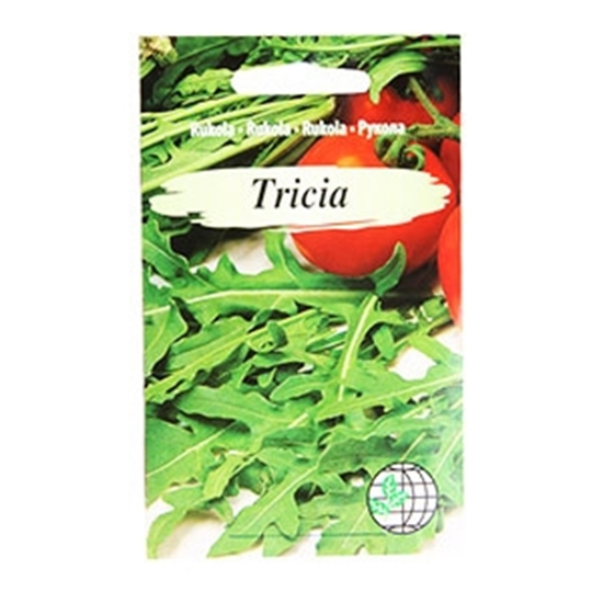 Picture of Sēklas Rukola Tricia 1g