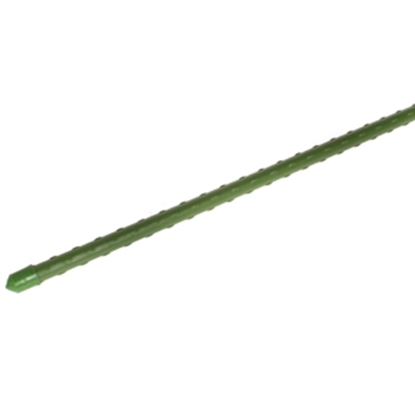 Attēls no Mietiņi augiem 90cm