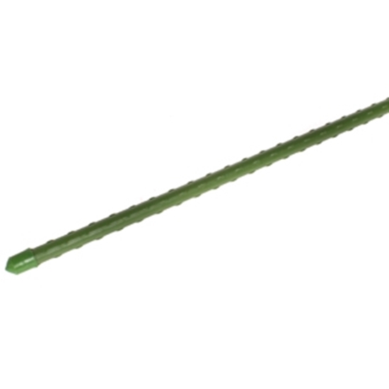 Изображение Mietiņi augiem 90cm