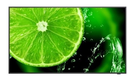 Picture of Monitor wielkoformatowy 55 cali MultiSync E558 UHD 350cd/m2 16/7