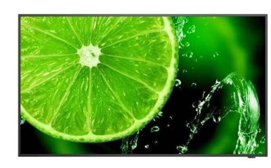 Picture of Monitor wielkoformatowy 55 cali MultiSync E558 UHD 350cd/m2 16/7