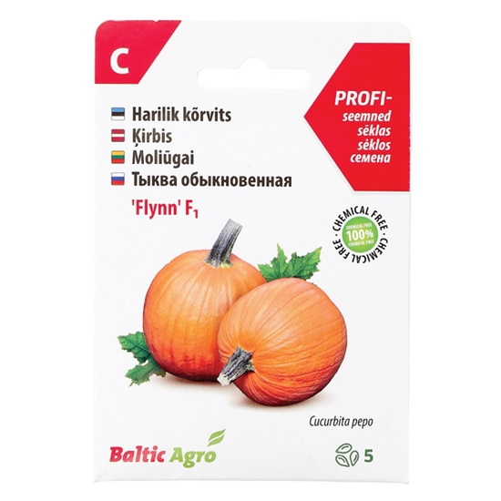 Picture of Sēklas Ķirbis Flynn F1 5-sēklas 3-3.8kg