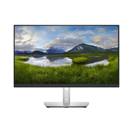 Picture of DELL P2422H 60.5 cm (23.8") 1920 x 1080 pixels Full HD LCD Black
