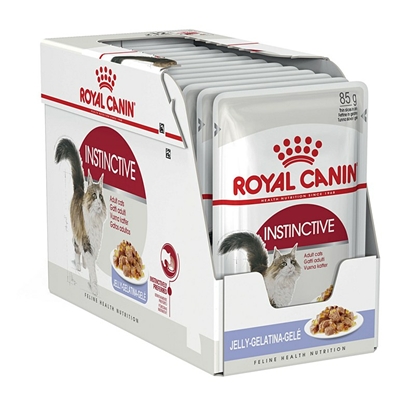 Picture of Royal Canin FHN Instinctive in jelly - wet food for adult cats - 12x85g
