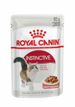 Picture of ROYAL CANIN FHN Instinctive - wet pate food for adult cats - 12x 85g