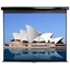 Picture of Elite Screens Manual Series M113UWS1 Black
