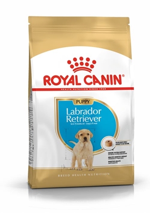 Изображение ROYAL CANIN BHN Labrador Retriever Puppy - dry puppy food - 3kg
