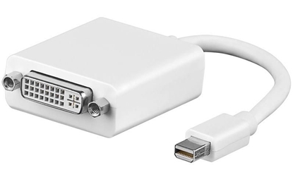 Picture of Adapter AV MicroConnect DisplayPort Mini - DVI-I biały (MDPDVI)