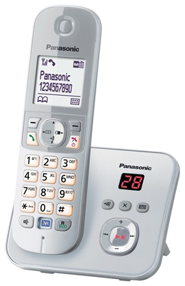 Изображение Panasonic KX-TG6821GS pearlsilver
