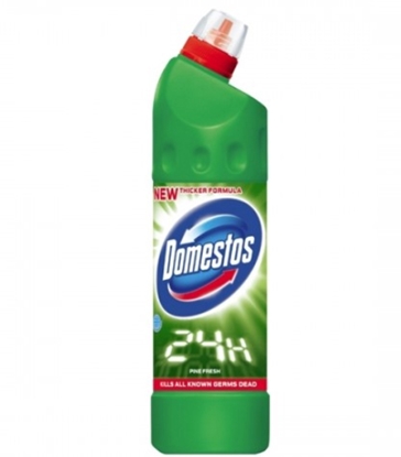 Picture of Unilever Domestos Pine 750 ml liquid