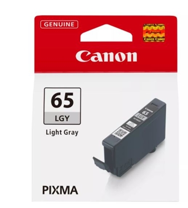 Attēls no Canon CLI-65 LGY light grey