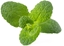 Picture of Click & Grow Smart Garden refill Apple Mint 3pcs