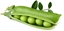 Attēls no Click & Grow Smart Garden refill Dwarf Pea 3pcs