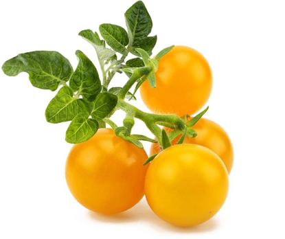 Attēls no Click & Grow Smart Garden refill Yellow Mini Tomato 3pcs