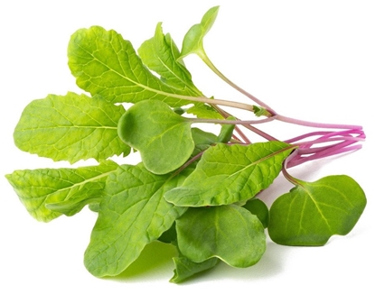 Изображение Click & Grow Smart Refill Leaf Radish 3pcs