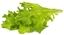 Изображение Click & Grow Smart Refill Oakleaf Lettuce 3pcs